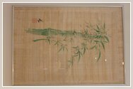 Papyrus - BAMBUS